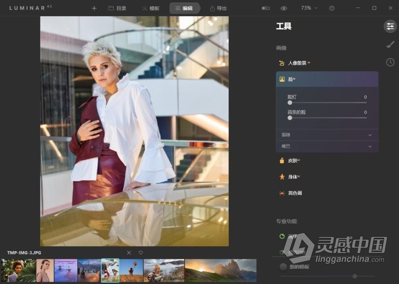 Luminar AI 1.4汉化版|AI人工智能照片编辑修图PS插件Luminar AI 1.4.0 (8292) 中文版  灵感中国网 www.lingganchina.com