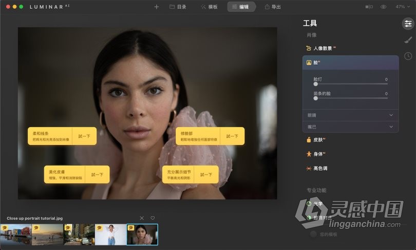 Luminar AI 1.4 for MAC汉化版|AI人工智能照片编辑修图PS插件Luminar AI for mac v1.4.0(9628)中文版  灵感中国网 www.lingganchina.com
