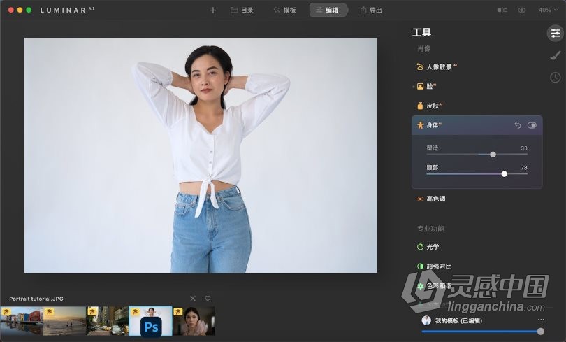 Luminar AI 1.4 for MAC汉化版|AI人工智能照片编辑修图PS插件Luminar AI for mac v1.4.0(9628)中文版  灵感中国网 www.lingganchina.com
