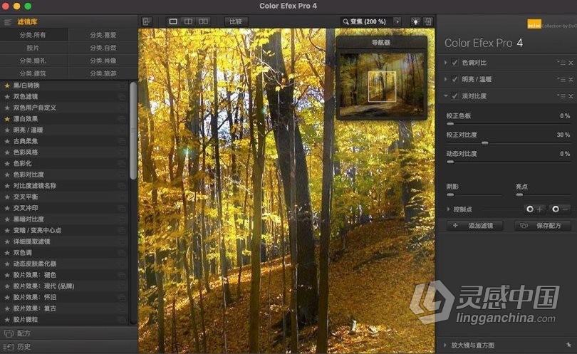 Nik Collection 4 for mac V4.1.1 (PS插件滤镜套装)Nik Collection V4.1.1中文破解版  灵感中国网 www.lingganchina.com