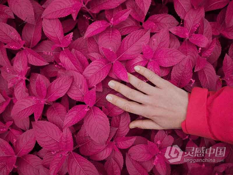 最先进的真实模拟电影胶片情绪美学飞思Capture One风格预设合集  灵感中国网 www.lingganchina.com