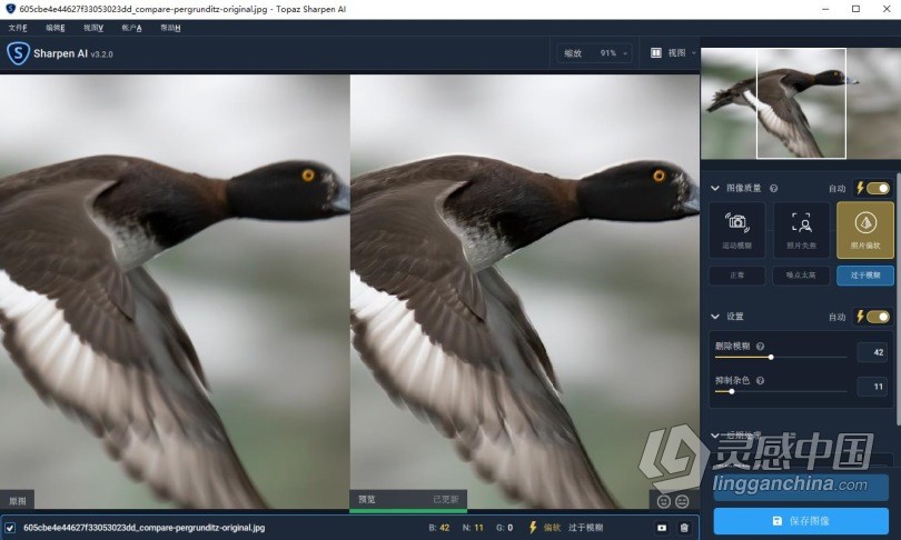 AI人工智能聚焦防抖清晰锐化PS插件Topaz Sharpen AI V3.2.0汉化版 WIN版 支持PS2021  灵感中国网 www.lingganchina.com
