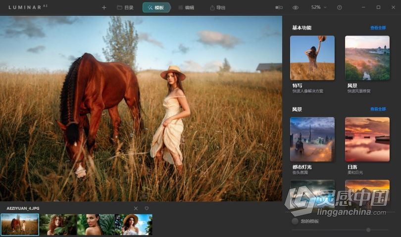 Luminar AI 1.4.1汉化版|AI人工智能照片编辑修图PS插件Luminar AI 1.4.1.8361 中英文版  灵感中国网 www.lingganchina.com