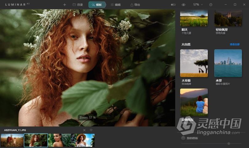 Luminar AI 1.4.1汉化版|AI人工智能照片编辑修图PS插件Luminar AI 1.4.1.8361 中英文版  灵感中国网 www.lingganchina.com