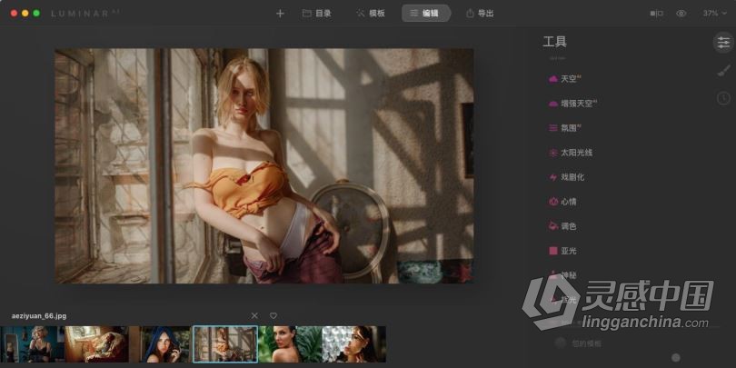 Luminar AI 1.4.1 for MAC中英文版|AI人工智能照片编辑修图PS插件Luminar AI for mac v1.4.1.9727中英文版  灵感中国网 www.lingganchina.com