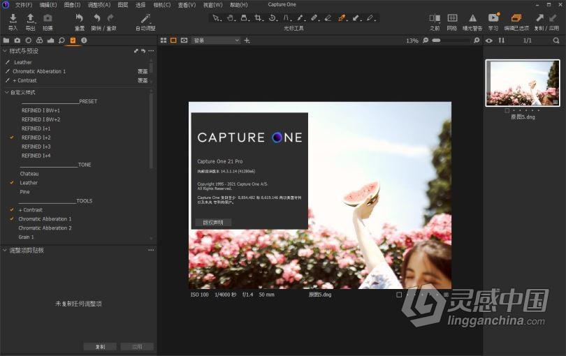 飞思软件Capture One 21 14.3.1.14正式版|RAW转换和图像编Capture One 21 Pro 14.3.1.14中英文版 WINX64  灵感中国网 www.lingganchina.com