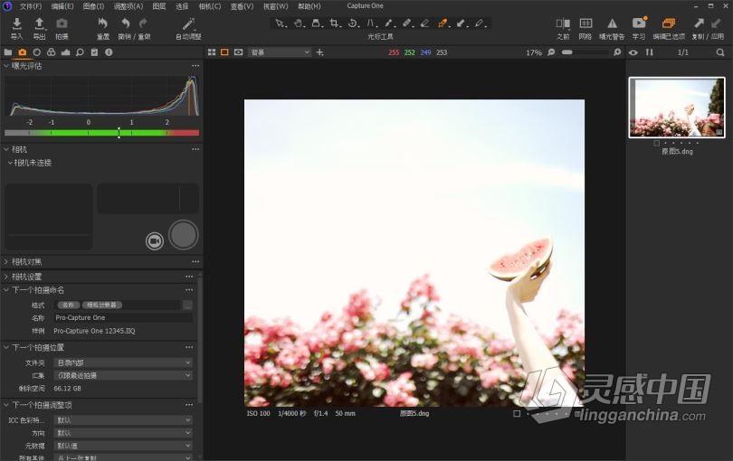 飞思软件Capture One 21 14.3.1.14正式版|RAW转换和图像编Capture One 21 Pro 14.3.1.14中英文版 WINX64  灵感中国网 www.lingganchina.com
