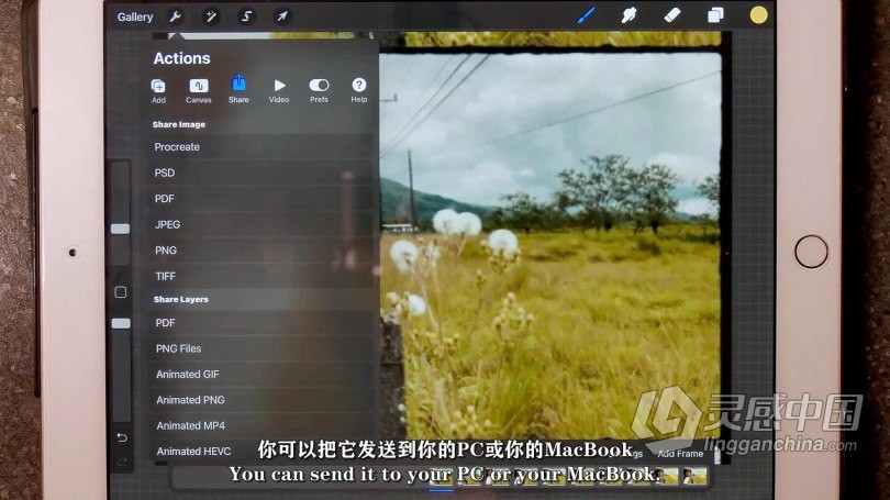 AE教程 AE创建数字绘画动画技巧视频教程 中文字幕  灵感中国网 www.lingganchina.com