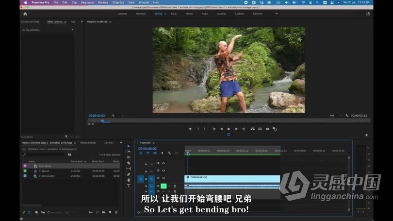 AE教程 AE创建数字绘画动画技巧视频教程 中文字幕  灵感中国网 www.lingganchina.com