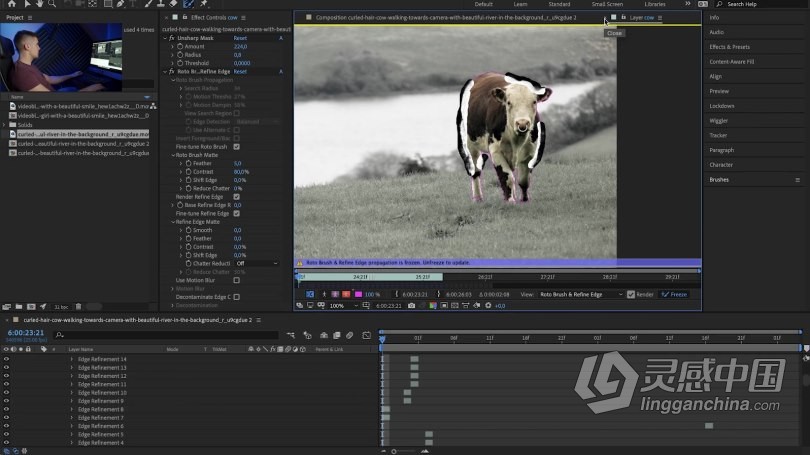 AE教程 电影制作人VFX视觉特效制作指南训练视频教程  灵感中国网 www.lingganchina.com