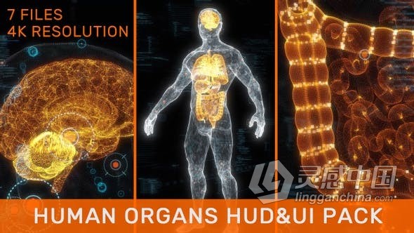 视频素材 3D人体器官线X射线大脑心肺肝脏肠胃全身HUD UI粒子动画医疗视频素材下载  灵感中国网 www.lingganchina.com