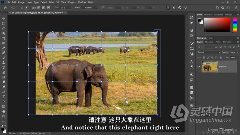 PS教程 Photoshop 2021一对一高级技能训练视频教程 中文字幕  灵感中国网 www.lingganchina.com