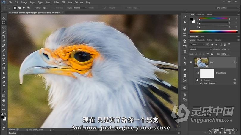 PS教程 Photoshop 2021一对一高级技能训练视频教程 中文字幕  灵感中国网 www.lingganchina.com