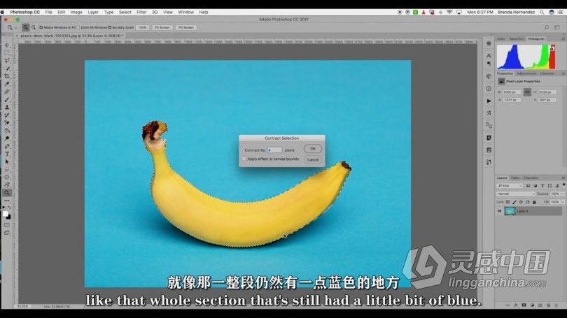 PS教程 PS使用选择工具背景去除技巧视频教程 中文字幕  灵感中国网 www.lingganchina.com