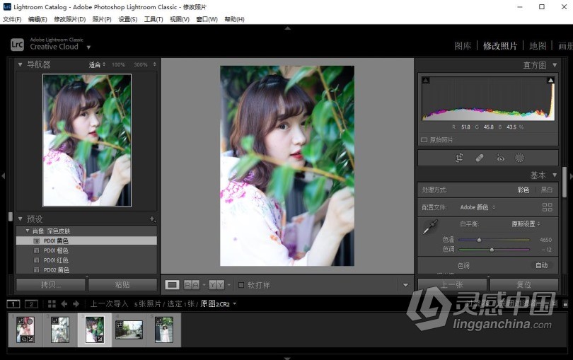 Adobe Lightroom Classic 11.5.0.4（8月版）Lr 2022 Win本版下载  灵感中国网 www.lingganchina.com