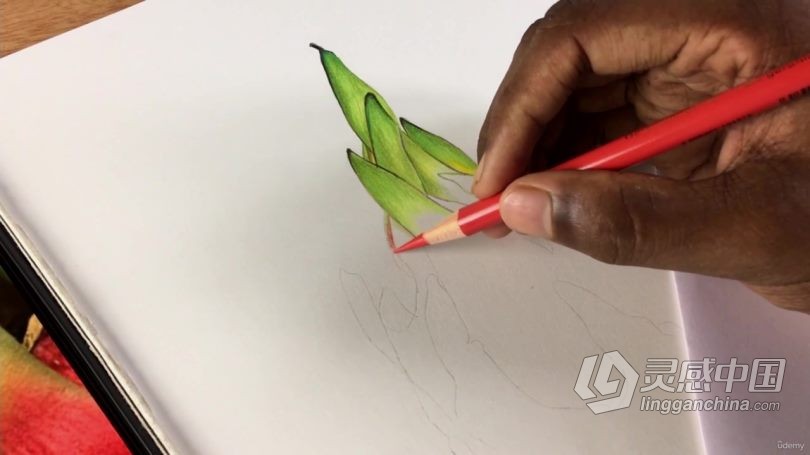绘画教程 逼真立体火龙果活力插图彩铅传统手绘视频教程  灵感中国网 www.lingganchina.com