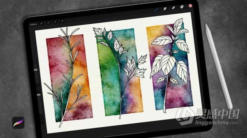 绘画教程 Procreate绘制水彩晕染效果负片高级技巧数字绘画视频教程  灵感中国网 www.lingganchina.com