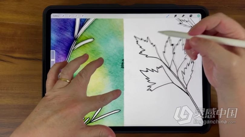 绘画教程 Procreate绘制水彩晕染效果负片高级技巧数字绘画视频教程  灵感中国网 www.lingganchina.com