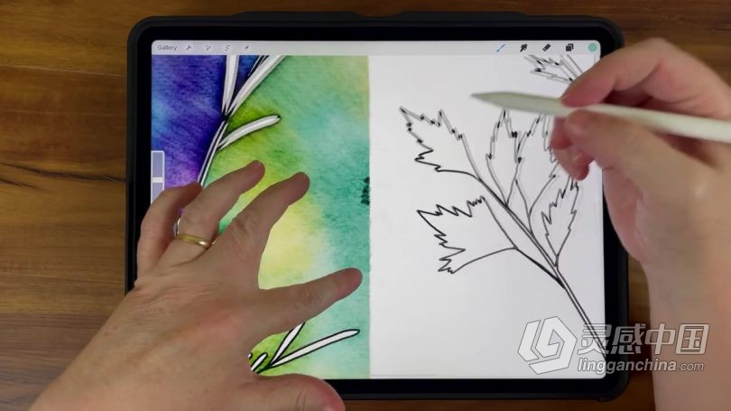 绘画教程 Procreate绘制水彩晕染效果负片高级技巧数字绘画视频教程  灵感中国社区 www.lingganchina.com