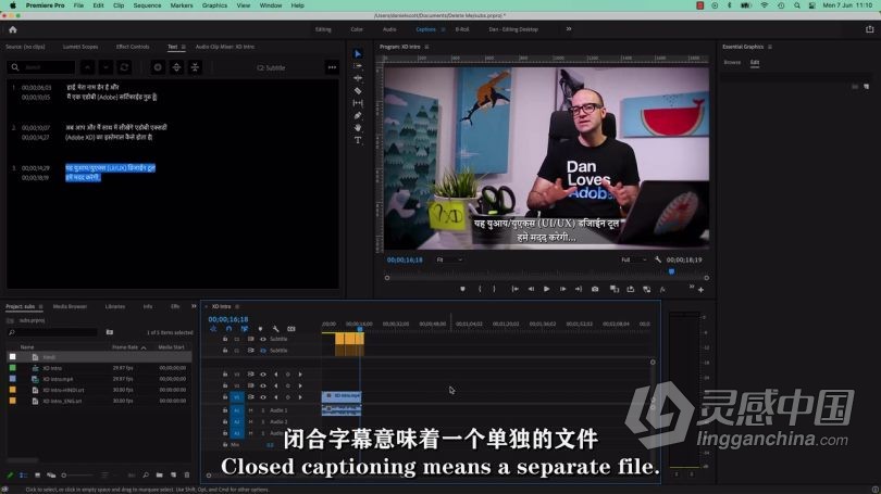 Pr教程 Premiere Pro高级技能进阶技术训练视频教程中文字幕  灵感中国网 www.lingganchina.com