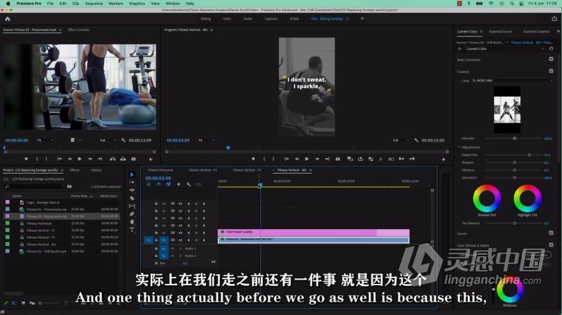 Pr教程 Premiere Pro高级技能进阶技术训练视频教程中文字幕  灵感中国网 www.lingganchina.com