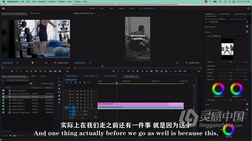 Pr教程 Premiere Pro高级技能进阶技术训练视频教程中文字幕  灵感中国社区 www.lingganchina.com