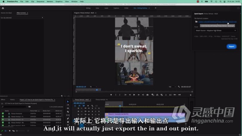 Pr教程 Premiere Pro高级技能进阶技术训练视频教程中文字幕  灵感中国网 www.lingganchina.com
