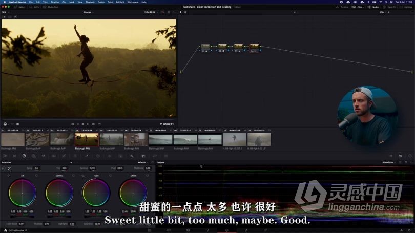 达芬奇教程 DaVinci Resolve 17色彩校正与调色技术训练视频教程中文字幕  灵感中国网 www.lingganchina.com