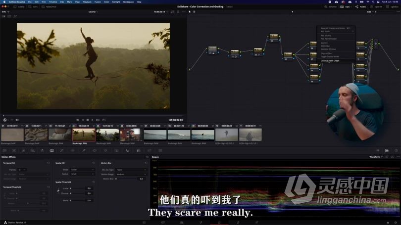 达芬奇教程 DaVinci Resolve 17色彩校正与调色技术训练视频教程中文字幕  灵感中国网 www.lingganchina.com