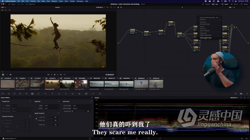 达芬奇教程 DaVinci Resolve 17色彩校正与调色技术训练视频教程中文字幕  灵感中国社区 www.lingganchina.com