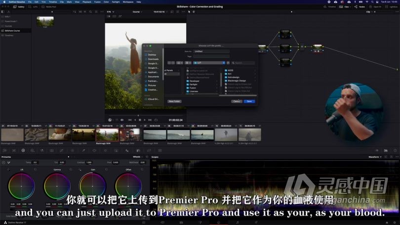 达芬奇教程 DaVinci Resolve 17色彩校正与调色技术训练视频教程中文字幕  灵感中国网 www.lingganchina.com