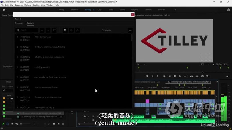 Pr教程 Premiere Pro企业宣传视频后期制作技术视频教程 中文字幕  灵感中国网 www.lingganchina.com