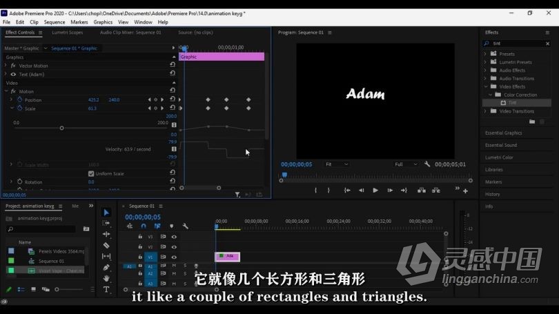 Pr教程 Premiere Pro创意视频编辑技巧视频教程 中文字幕  灵感中国网 www.lingganchina.com