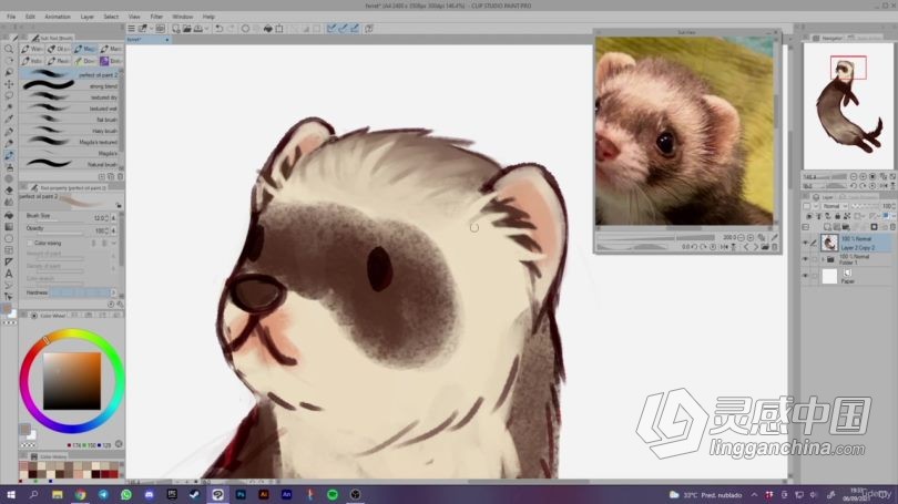 绘画教程 Clip Studio Paint数字绘画从入门到精通视频教程  灵感中国网 www.lingganchina.com