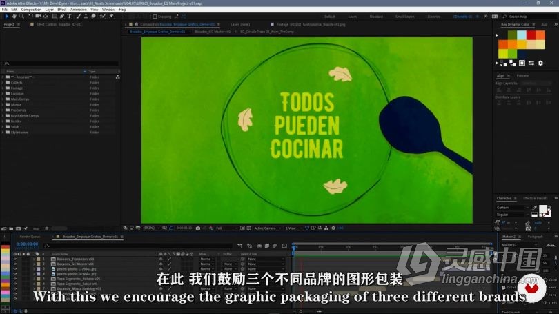 AE教程 AE品牌视听内容建设动画设计视频教程中文字幕  灵感中国网 www.lingganchina.com