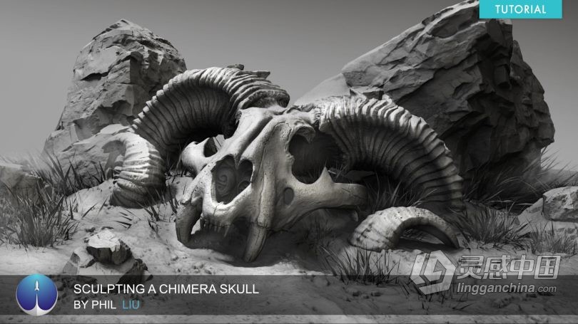 Zbrush教程 Zbrush动物骨架数字雕刻实例训练视频教程  灵感中国网 www.lingganchina.com