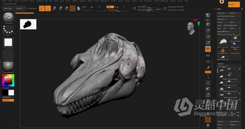 Zbrush教程 Zbrush动物骨架数字雕刻实例训练视频教程  灵感中国网 www.lingganchina.com
