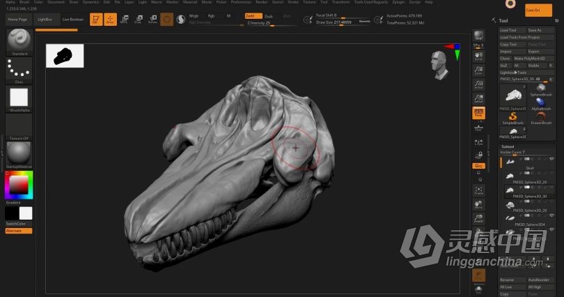 Zbrush教程 Zbrush动物骨架数字雕刻实例训练视频教程  灵感中国社区 www.lingganchina.com