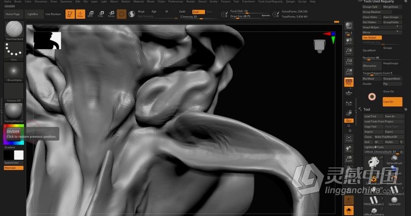 Zbrush教程 Zbrush动物骨架数字雕刻实例训练视频教程  灵感中国社区 www.lingganchina.com