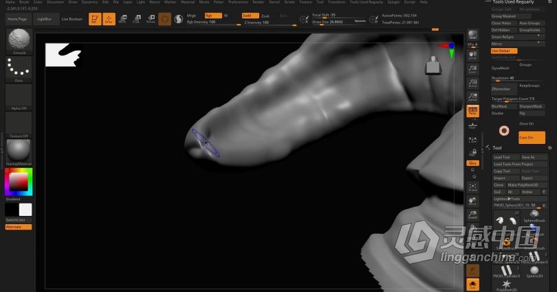 Zbrush教程 Zbrush动物骨架数字雕刻实例训练视频教程  灵感中国网 www.lingganchina.com