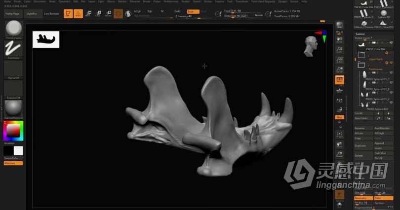 Zbrush教程 Zbrush动物骨架数字雕刻实例训练视频教程  灵感中国网 www.lingganchina.com