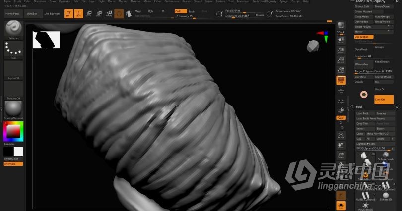 Zbrush教程 Zbrush动物骨架数字雕刻实例训练视频教程  灵感中国网 www.lingganchina.com