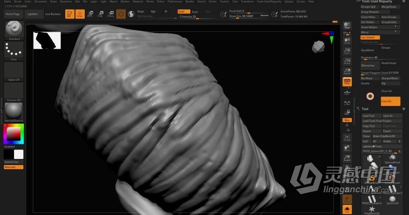 Zbrush教程 Zbrush动物骨架数字雕刻实例训练视频教程  灵感中国社区 www.lingganchina.com