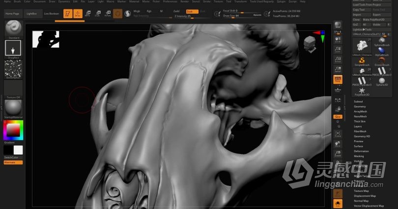 Zbrush教程 Zbrush动物骨架数字雕刻实例训练视频教程  灵感中国网 www.lingganchina.com