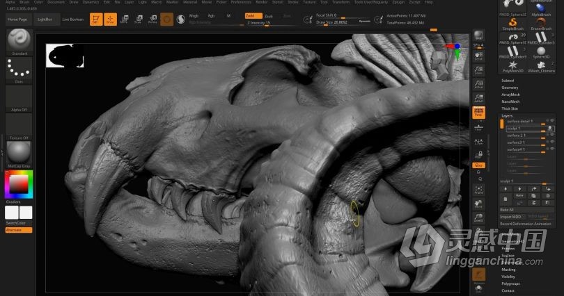Zbrush教程 Zbrush动物骨架数字雕刻实例训练视频教程  灵感中国网 www.lingganchina.com