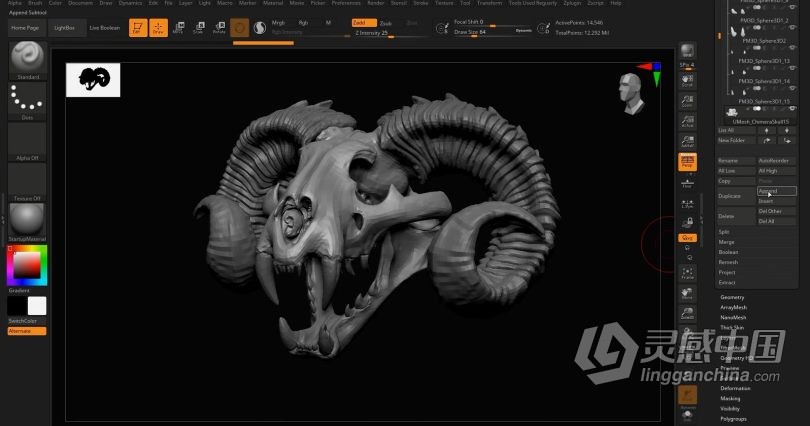 Zbrush教程 Zbrush动物骨架数字雕刻实例训练视频教程  灵感中国网 www.lingganchina.com