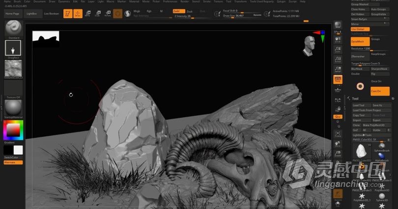 Zbrush教程 Zbrush动物骨架数字雕刻实例训练视频教程  灵感中国网 www.lingganchina.com