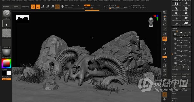 Zbrush教程 Zbrush动物骨架数字雕刻实例训练视频教程  灵感中国网 www.lingganchina.com