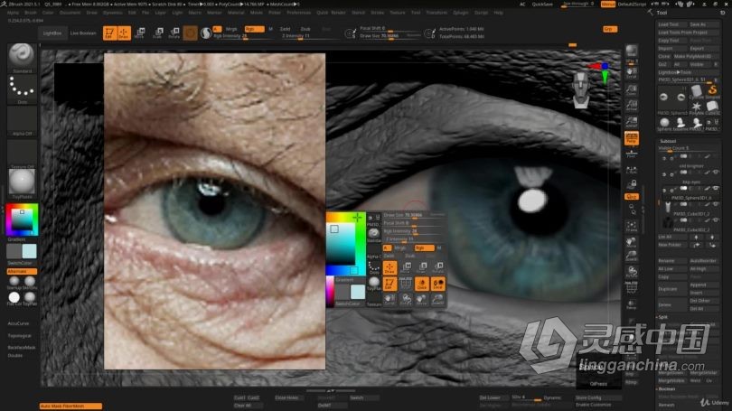 Zbrush教程 Zbrush超逼真好莱坞明星数字雕刻制作视频教程中文字幕  灵感中国网 www.lingganchina.com