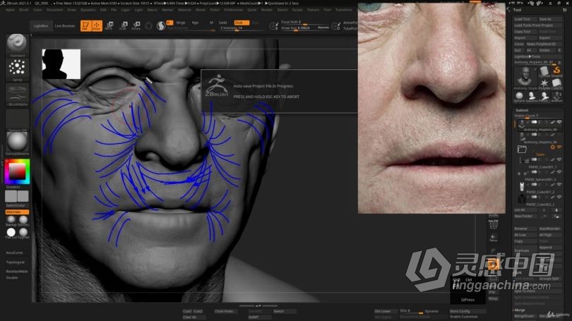 Zbrush教程 Zbrush超逼真好莱坞明星数字雕刻制作视频教程中文字幕  灵感中国网 www.lingganchina.com